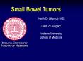 Small%20Bowel%20Tumors PowerPoint PPT Presentation