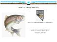 TROUT IN THE CLASSROOM PowerPoint PPT Presentation