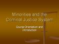 Minorities and the Criminal Justice System PowerPoint PPT Presentation