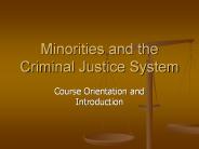 Minorities and the Criminal Justice System
