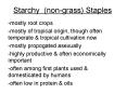 Starchy nongrass Staples PowerPoint PPT Presentation