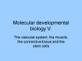 Molecular developmental biology V. PowerPoint PPT Presentation