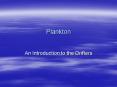 Plankton PowerPoint PPT Presentation