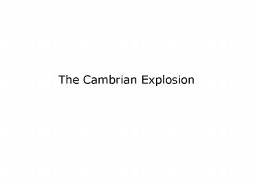 The Cambrian Explosion