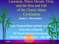 Leucaena, Maize Mosaic Virus, and the Rise and Fall of the Classic Maya Civilization PowerPoint PPT Presentation