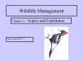 Wildlife Management PowerPoint PPT Presentation