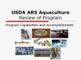 USDA ARS Aquaculture Review of Program PowerPoint PPT Presentation