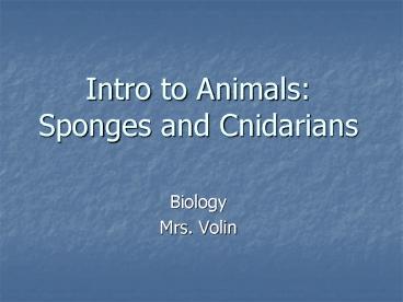Intro to Animals: Sponges and Cnidarians