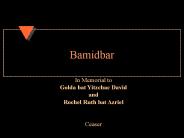 Bamidbar