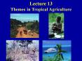 Lecture 13 Themes in Tropical Agriculture PowerPoint PPT Presentation