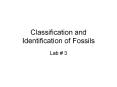 Classification and Identification of Fossils PowerPoint PPT Presentation