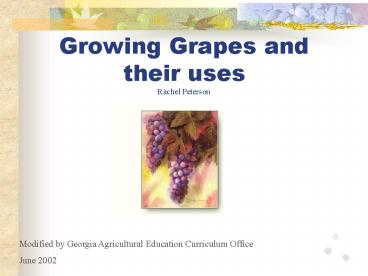 Growing Grapes and their uses Rachel Peterson