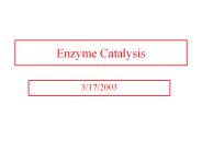 Enzyme Catalysis