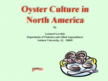 Oyster Culture in North America