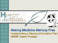 Making Medicine Mercury Free Implementing a MercuryElimination Plan MMMF Award Process PowerPoint PPT Presentation