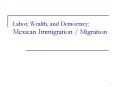 Labor, Wealth, and Democracy: Mexican Immigration Migration PowerPoint PPT Presentation