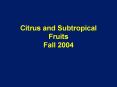 Citrus and Subtropical Fruits Fall 2004 PowerPoint PPT Presentation