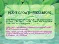 PLANT GROWTH REGULATORS PowerPoint PPT Presentation