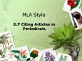 MLA Style PowerPoint PPT Presentation