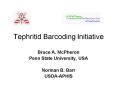Tephritid Barcoding Initiative PowerPoint PPT Presentation