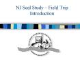 NJ Seal Study Field Trip Introduction PowerPoint PPT Presentation