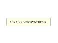 ALKALOID BIOSYNTHESIS PowerPoint PPT Presentation
