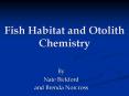 Fish Habitat and Otolith Chemistry PowerPoint PPT Presentation