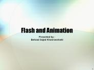 Flash and Animation
