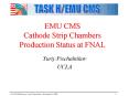 EMU CMS Cathode Strip Chambers Production Status at FNAL PowerPoint PPT Presentation