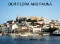 OUR FLORA AND FAUNA PowerPoint PPT Presentation