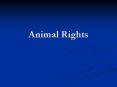 Animal Rights PowerPoint PPT Presentation