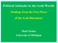 Political Attitudes in the Arab World: Findings from the First Wave PowerPoint PPT Presentation