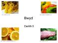Bwyd PowerPoint PPT Presentation