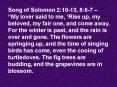 Song of Solomon 2:1013, 8:67 My lover said to me, Rise up, my beloved, my fair one, and come away. F PowerPoint PPT Presentation