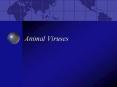 Animal Viruses PowerPoint PPT Presentation