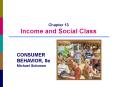 Chapter 13 Income and Social Class PowerPoint PPT Presentation