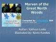 Marven of the Great North Woods PowerPoint PPT Presentation