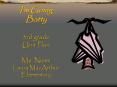 Im Going Batty 3rd grade Unit Plan Ms. Niemi Laura MacArthur Elementary PowerPoint PPT Presentation
