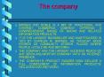 The company PowerPoint PPT Presentation