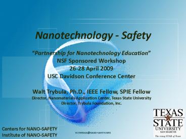 Nanotechnology Safety