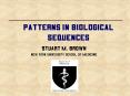 Patterns in Biological Sequences PowerPoint PPT Presentation