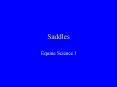 Saddles PowerPoint PPT Presentation