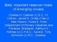Bats: important reservoir hosts of emerging viruses PowerPoint PPT Presentation