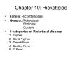 Chapter 19: Rickettsiae PowerPoint PPT Presentation