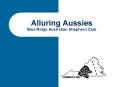 Alluring Aussies Blue Ridge Australian Shepherd Club PowerPoint PPT Presentation