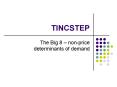 TINCSTEP PowerPoint PPT Presentation
