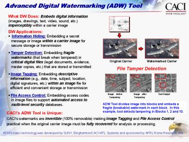 Advanced Digital Watermarking ADW Tool