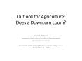 Outlook for Agriculture: Does a Downturn Loom PowerPoint PPT Presentation