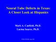 Neural Tube Defects in Texas: A Closer Look at Hispanics PowerPoint PPT Presentation