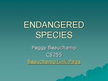 presentation player overlay